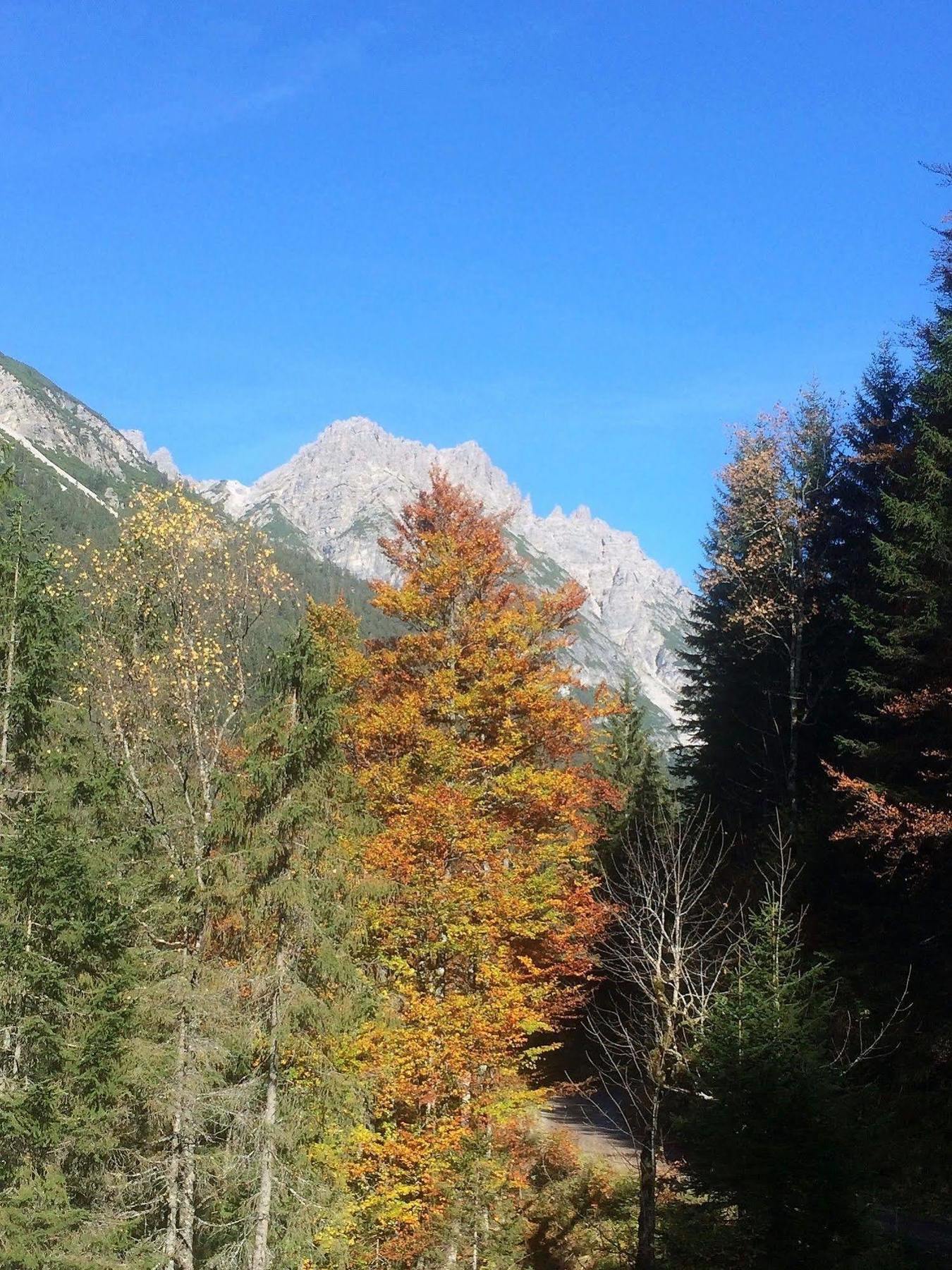 Pension Alpenperle Холцгау Екстериор снимка